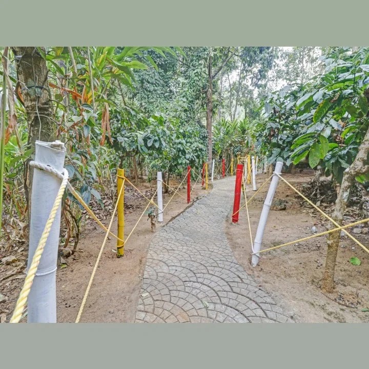 MUNNAR BOOKINGS, godaddybooking.com - MUNNAR BOOKINGS, godaddybooking.com Darshana Cottage Colony road Munnar, Near Darshana tires, bypass Road, Mattupetty, Munnar, Kerala 685612, India