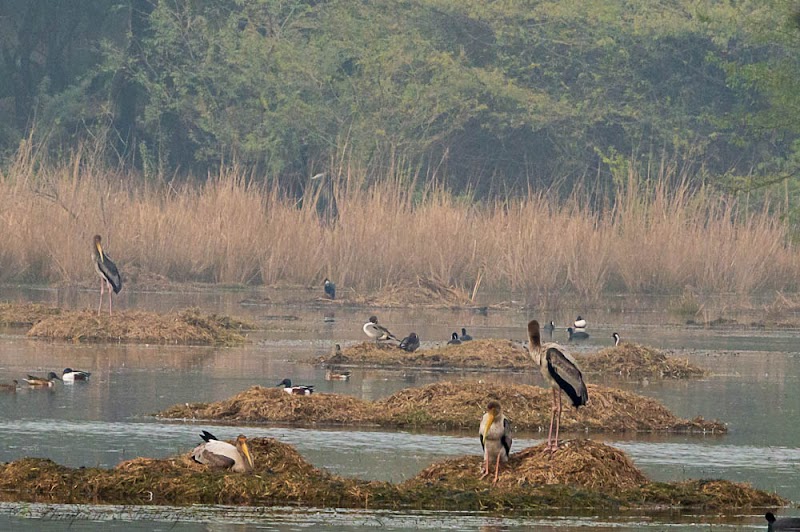 Sultanpur National Park