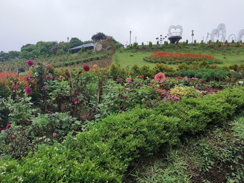 Vagamon Flower Garden - Vagamon Flower Garden Adventure Park, Vedikuzhi, Vagamon, Keralam 685501, India