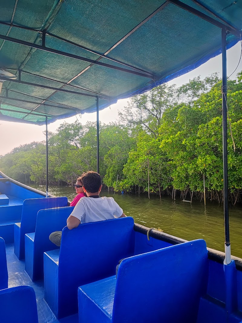 Mangrove Boat Ride (Prior booking required) - Mangrove Boat Ride (Prior booking required) Chorao Jetty, Madel, Goa 403102, India