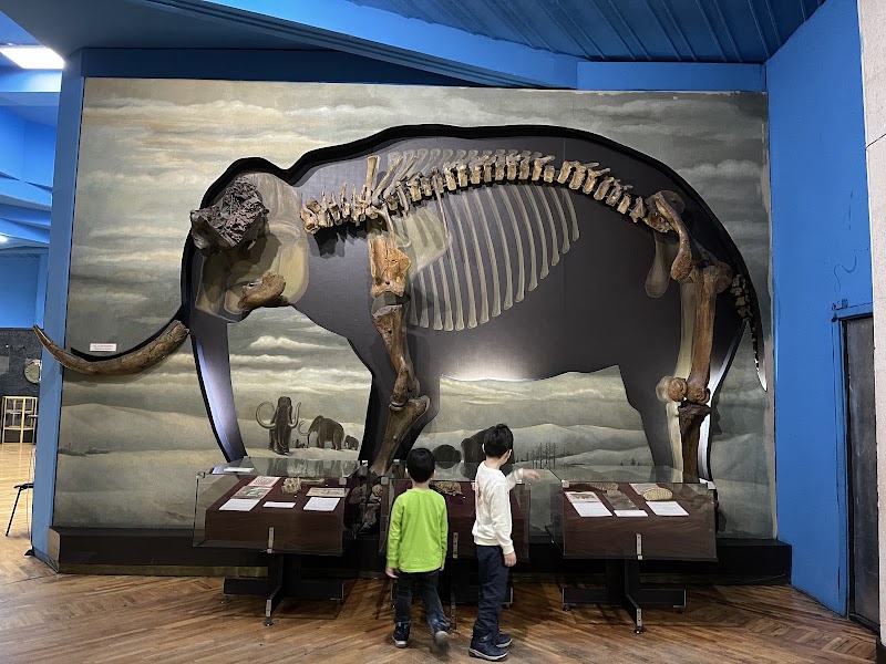 Central State Museum of the Republic of Kazakhstan - Central State Museum of the Republic of Kazakhstan, Samal-1, 44, Almaty 050059, Kazakhstan