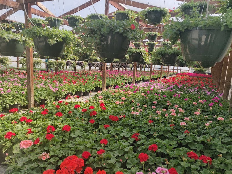 Strawberry Hill Farms - Strawberry Hill Farms 3770 E Missouri 163, Columbia, MO 65201, USA