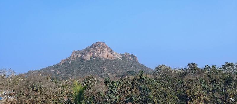 Jadcherla - Jadcherla, Telangana, India