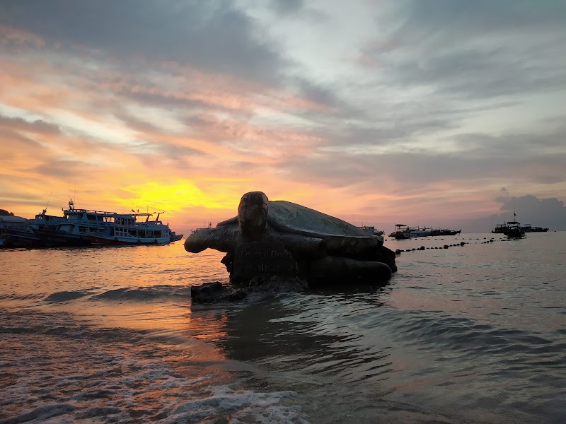 Mae Haad Beach - Mae Haad Beach 3RPF+CVM, Ko Tao, Ko Pha-ngan District, Surat Thani 84360, Thailand