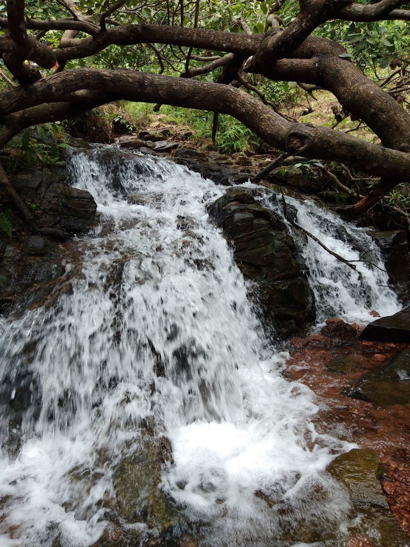 Arbi Falls - Arbi Falls 8QPV+MCR, Manipal, Dasharath Nagar, Badagabettu, Karnataka 576104, India