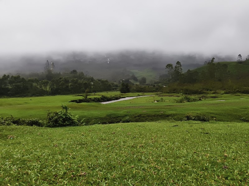 Munnar Travel Info
