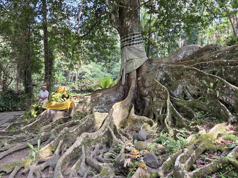 Goa Gajah - Goa Gajah Bedulu, Blahbatuh, Gianyar Regency, Bali, Indonesia