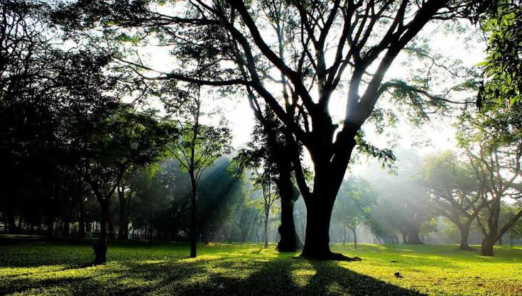 Sri Chamarajendra Park - Sri Chamarajendra Park Nunegundlapalli, Ambedkar Veedhi, Bengaluru, Karnataka 560001, India