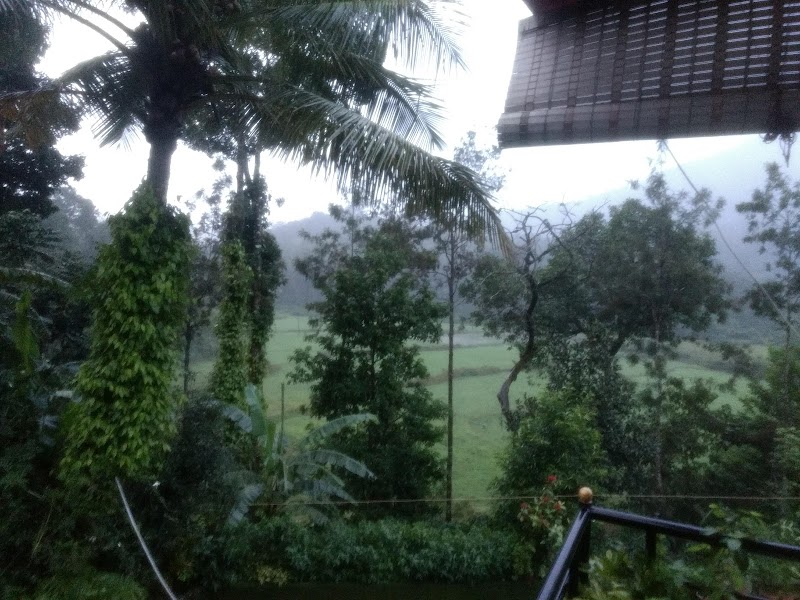 Cauvery Homestay - Cauvery Homestay Virajpet-Talakaveri Rd, Yevakapadi, Karnataka 571212, India