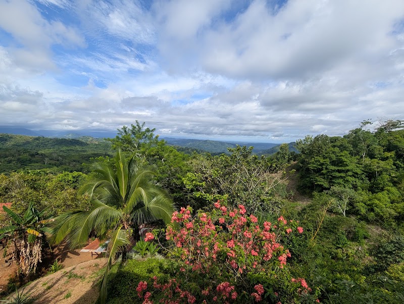 Adventure Tours Costa Rica - Adventure Tours Costa Rica, Del Super Excelente 1.2 kilometros, Barrio Copey, Edificio color naranja, Calle Samudio, Garrabito, Provincia de Puntarenas, Jacó, Playa, 61101, Costa Rica