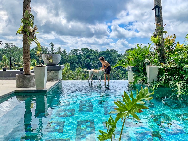 The Bodhi Leaf Wellness Resort - The Bodhi Leaf Wellness Resort Jl. Pantai Purnama No.17A, Sukawati, Kec. Sukawati, Kabupaten Gianyar, Bali 80581, Indonesia