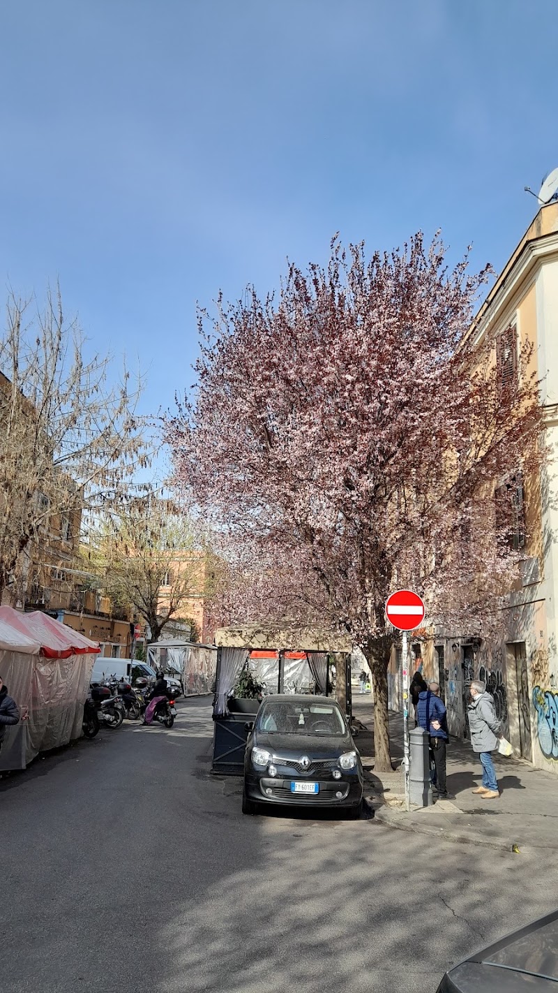 Pigneto - Pigneto, Rome, Metropolitan City of Rome Capital, Italy