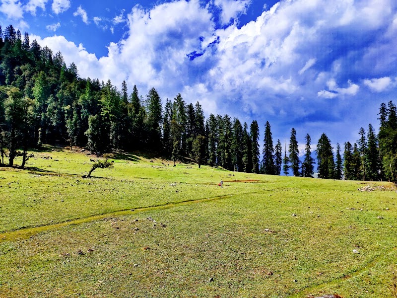 Tirthan Riverview Homestay. - Tirthan Riverview Homestay. Village Ropajani PO Gushaini Tehsil Banjar District Kullu Himachal Pradesh Tirthan Valley, Pekhadi Road, Village Ropajani, Gushaini, Tindar, Himachal Pradesh 175123, India
