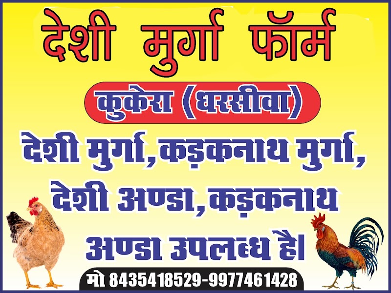 Desi murga paln kukera - Desi murga paln kukera, Kukera, Chhattisgarh 493221, India