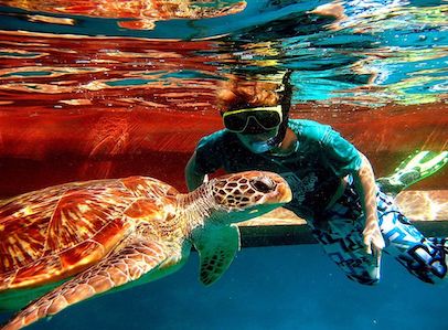 Pirate Divers Khao Lak - Pirate Divers Khao Lak 61/1 Moo 5 Bang Niang, Khao lak, อำเภอตะกั่วป่า พังงา 82220, Thailand