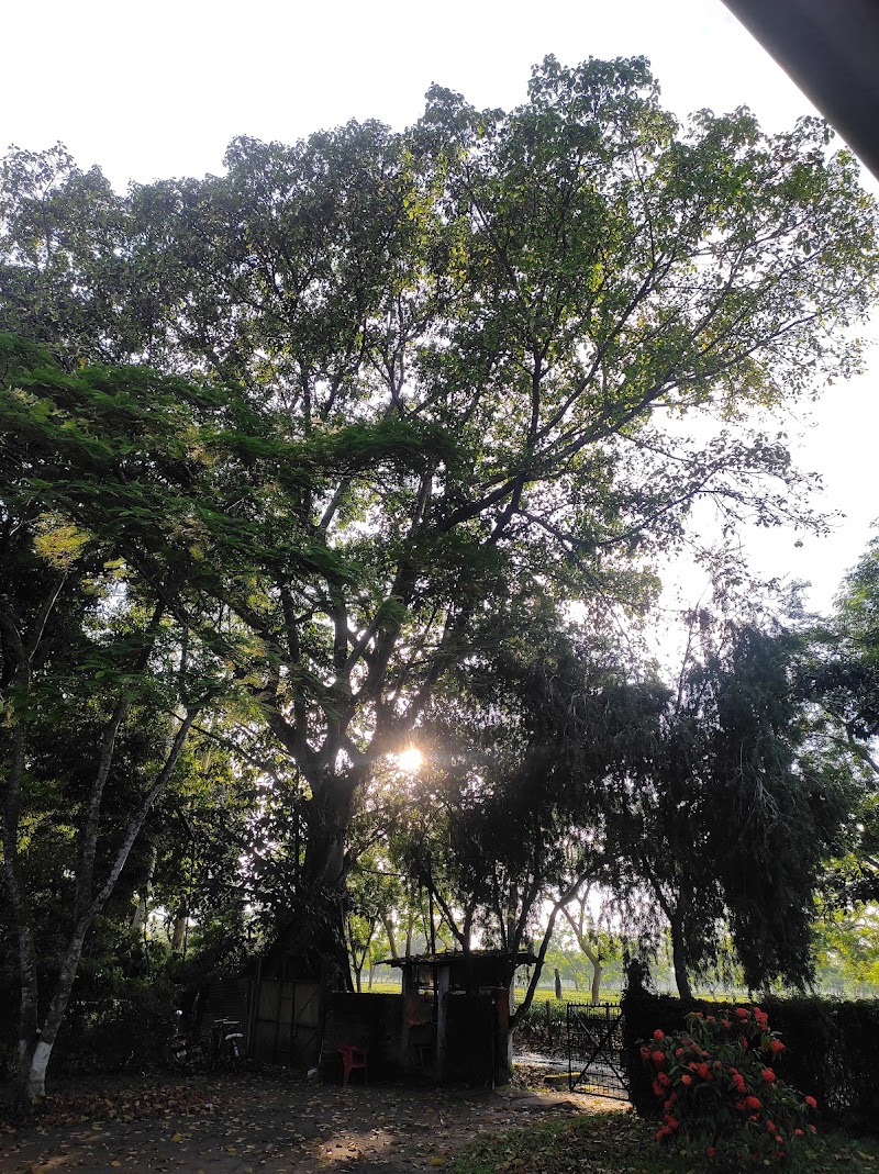 Puroni Bheti Tea and Farm Retreat - Puroni Bheti Tea and Farm Retreat, Haroocharai Tea Estate, Jorhat, Gayan Gaon, Assam 785006, India