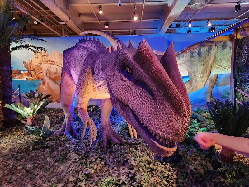Montreal Science Centre - Montreal Science Centre, 2 R. de la Commune O, Montréal, QC H2Y 4B2, Canada