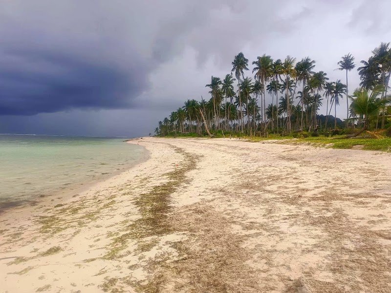 Coconut Road - Coconut Road, R383+RWW, Siargao Circumferential Rd, Pilar, Surigao del Norte, Philippines