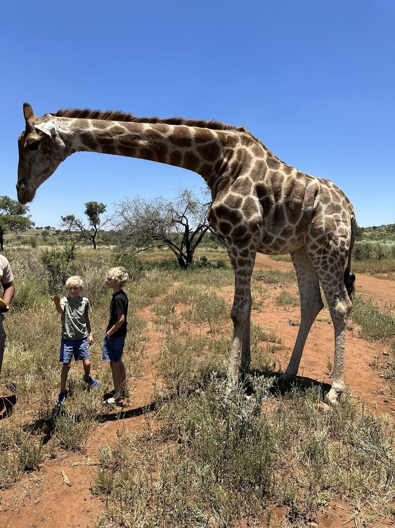 Cradle of Humankind - Cradle of Humankind, South Africa