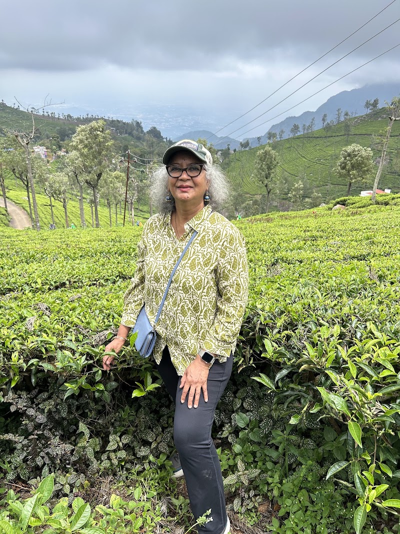 Tea plantation - Tea plantation 8RX9+WQ, Coonoor, Tamil Nadu 643101, India