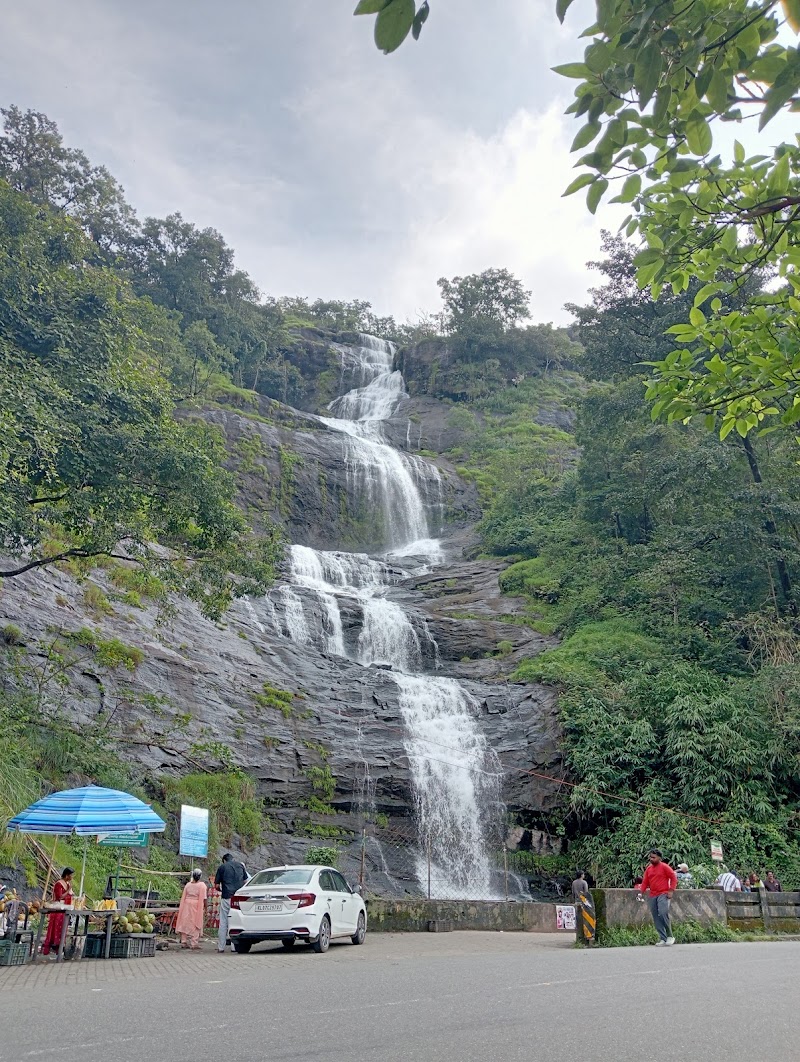 Waterfalls - Waterfalls 33Q5+HRC, Nullatanni, Munnar, Keralam 685612, India