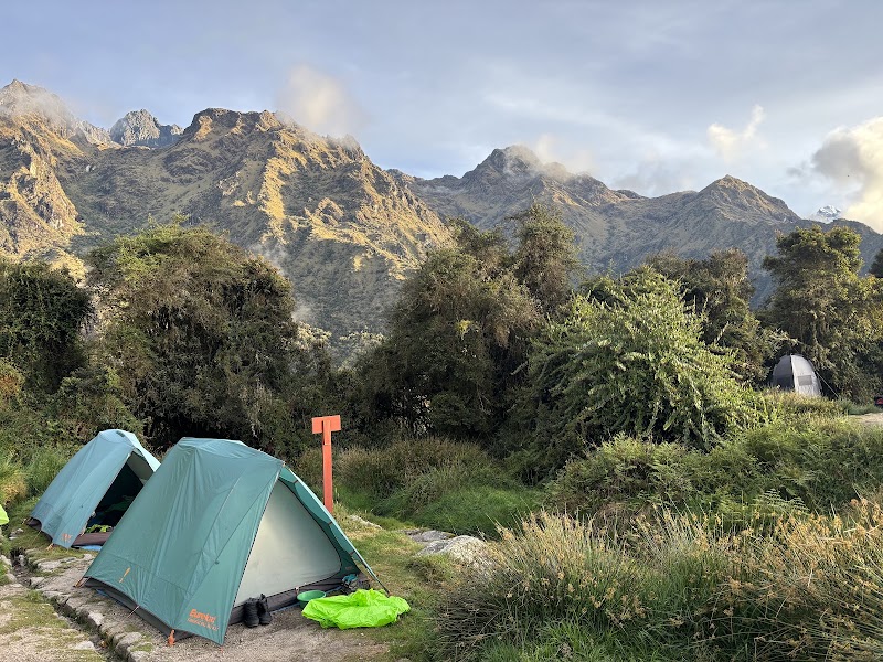 Alpaca Expeditions - Alpaca Expeditions, 157, Office 24, C. Heladeros Street, Cusco 08000, Peru