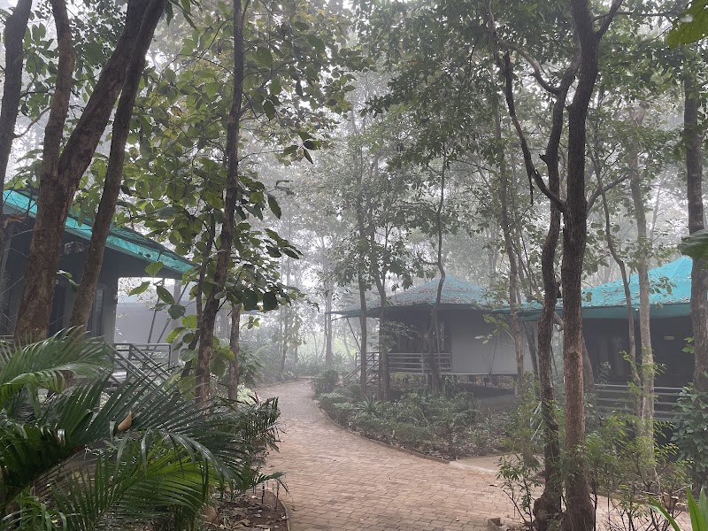 Mahavan Cottages - Mahavan Cottages, Govardhan Ecovillage, H.No. 586, Galtare, P.O. Hamrapur, Wada Taluka, Nane, Maharashtra 421303, India