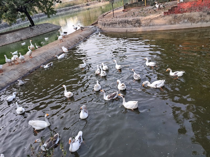 Ashok Vatika Park - Ashok Vatika Park WR42+926, Tilak Marg, C Scheme, Ashok Nagar, Jaipur, Rajasthan 302005, India