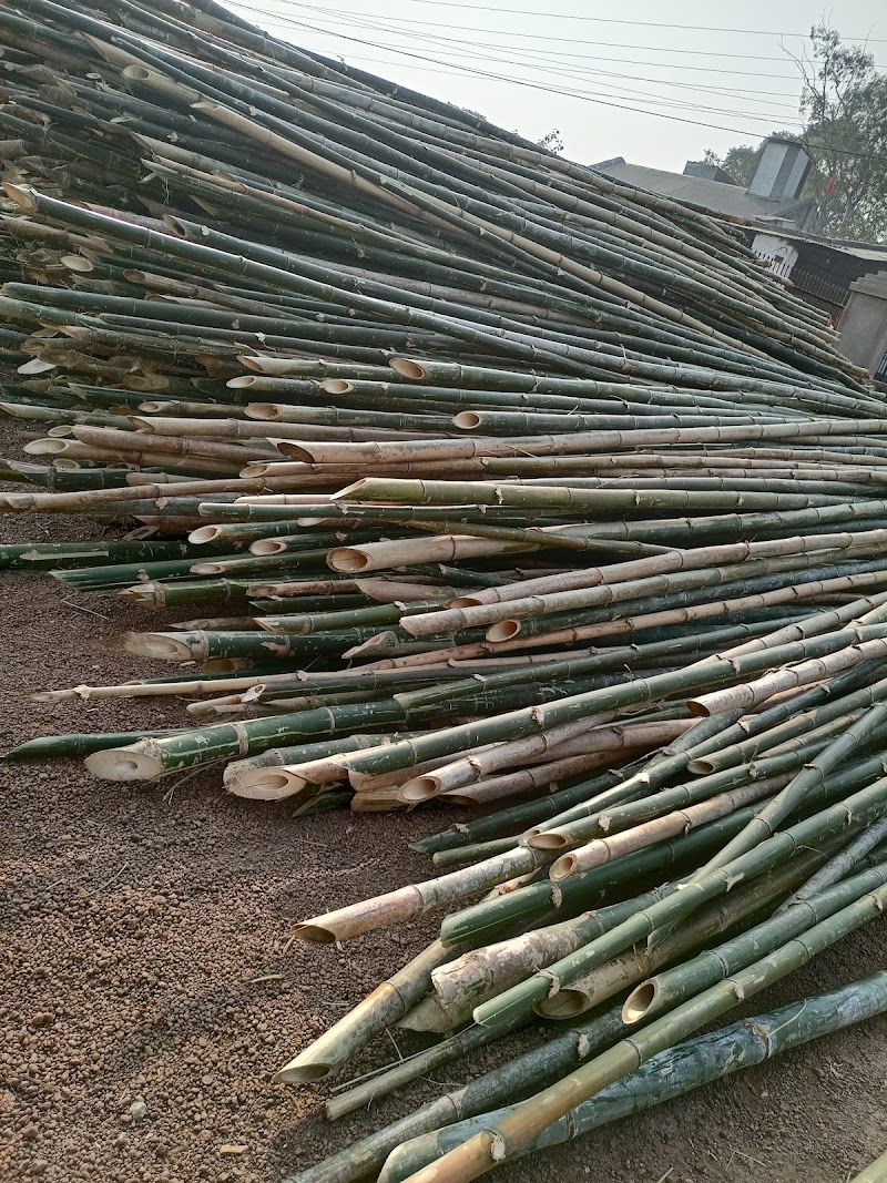 Shukla lakdi bans taal & plywood - Shukla lakdi bans taal & plywood, X33F+4F4, Bilha, Chhattisgarh 495224, India