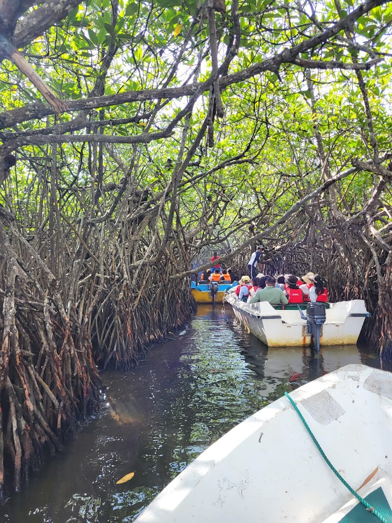 Madu Ganga Boat Safari - Madu Ganga Boat Safari, Keheli Wadaduwa, road, Balapitiya 80550, Sri Lanka