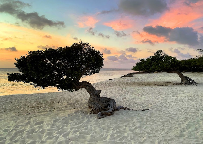 Eagle Beach - Eagle Beach Eagle Beach, Aruba