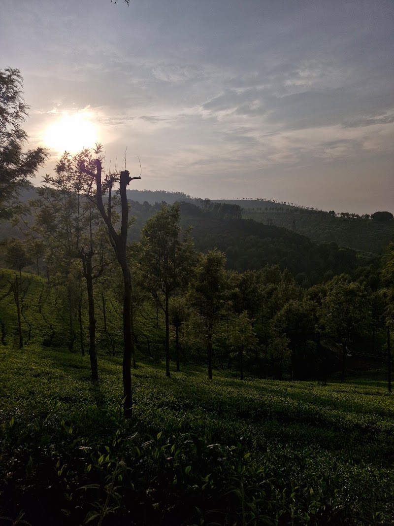 Kodanad Estate Dam View Point - Kodanad Estate Dam View Point GW63+P27, Kotagiri - Kodanadu Rd, Kodanad, Tamil Nadu 643217, India