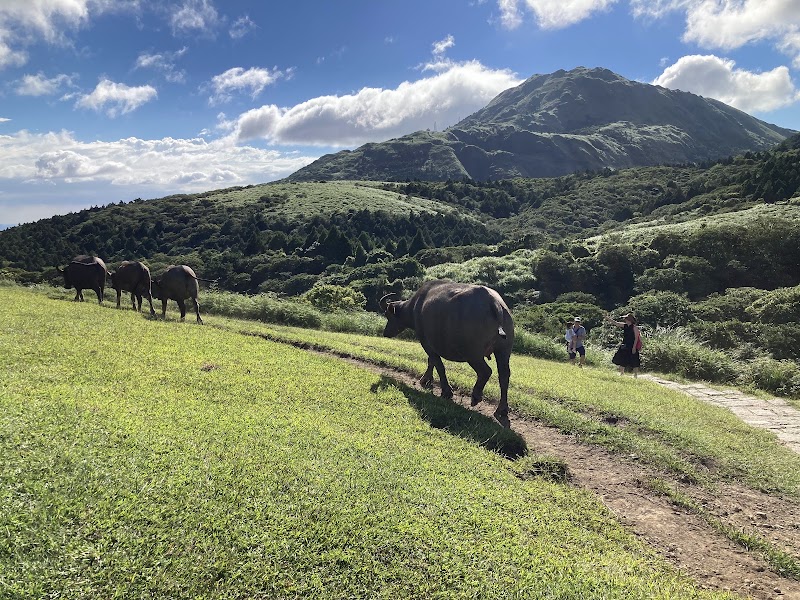 Yangmingshan National Park - Yangmingshan National Park, Taiwan