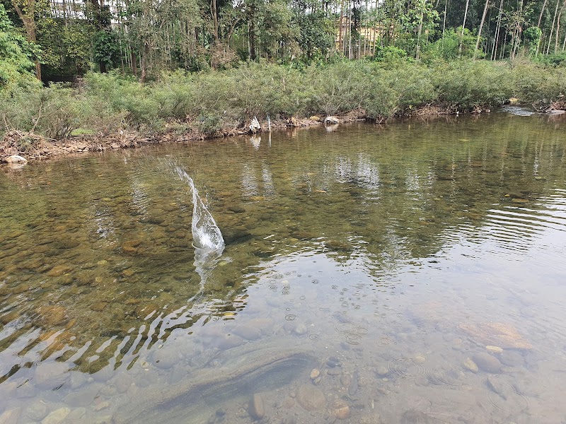 Iruvanjippuzha - Iruvanjippuzha Iruvanjippuzha, Kerala 673661