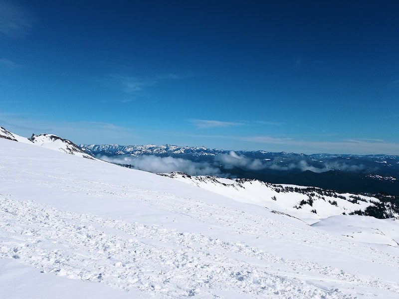 Panorama Point Overlook - Panorama Point Overlook, Ashford, WA 98304, USA