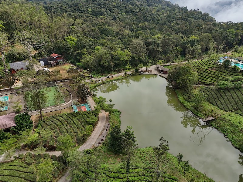 Wild Planet Jungle Resort - Wild Planet Jungle Resort Between Wayanad Hills & Mudumalai Tiger Reserve, Devala, Kerala 679333, India