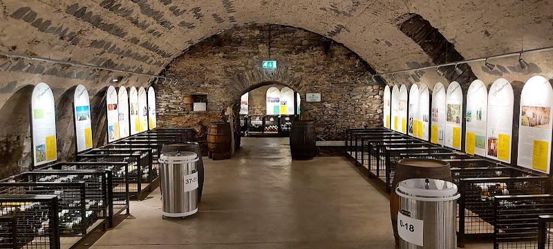 Mosel Wine museum and wine shop - Mosel Wine museum and wine shop, Cusanusstraße 2, 54470 Bernkastel-Kues, Germany