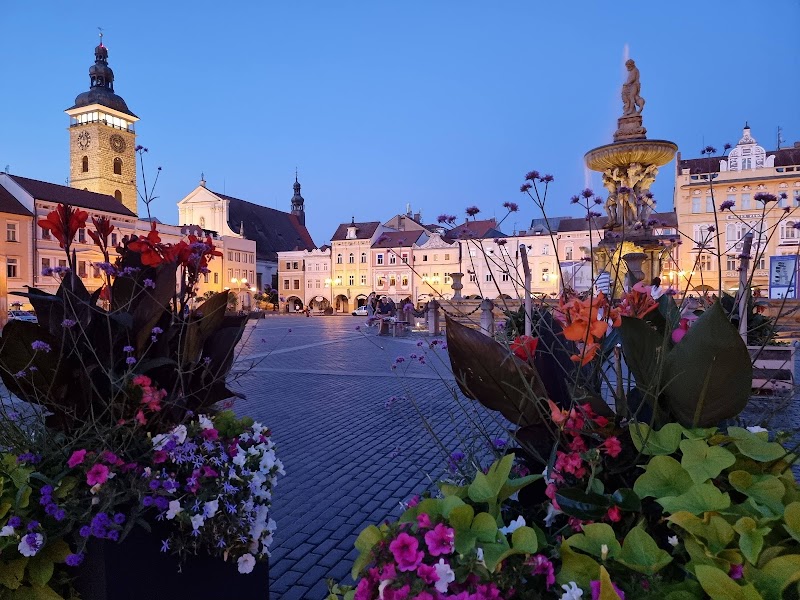 Samson fountain - Samson fountain, Náměstí Přemysla Otakara II., 370 01 České Budějovice-České Budějovice 1, Czechia
