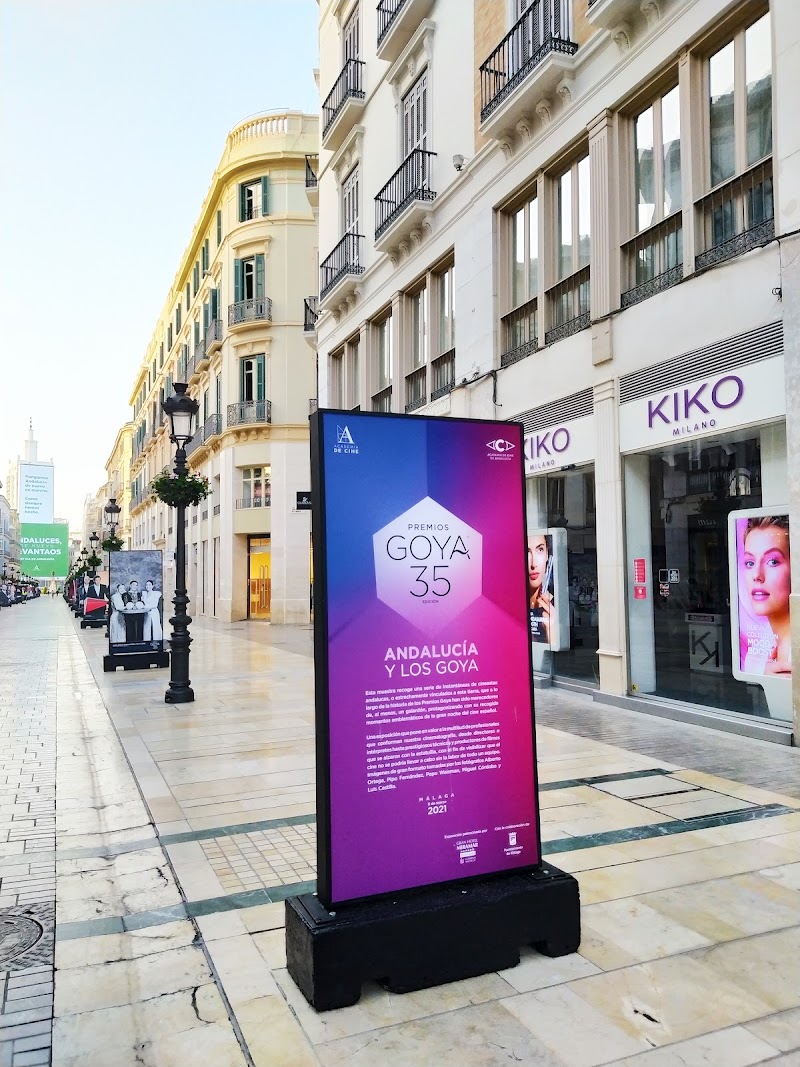 Calle Marqués de Larios - Calle Marqués de Larios, C. Marqués de Larios, Distrito Centro, Málaga, Spain