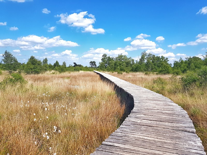 Nationaal Park De Groote Peel