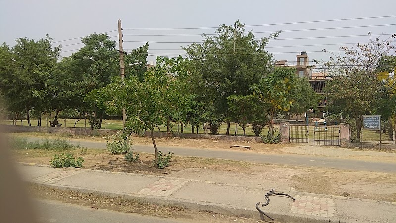 Park, Sector-38 - Park, Sector-38 C2JV+9Q4, Islampur Village, Sector 38, Gurugram, Haryana 122018, India