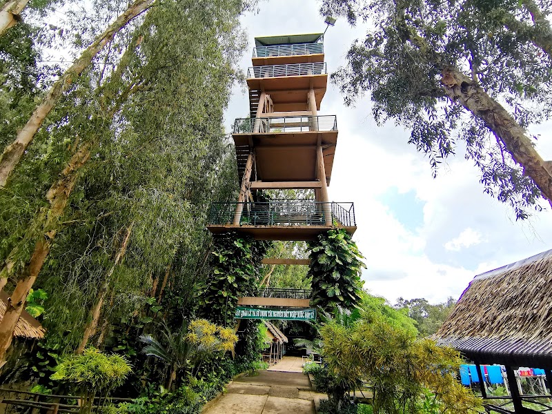 Tra Su Cajuput Forest - Tra Su Cajuput Forest, Ấp Văn Trà, An Cư, An Giang 884000, Vietnam