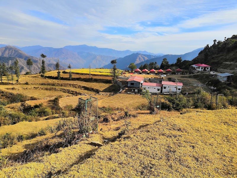 Ramtal Garden and sunrise point - Ramtal Garden and sunrise point, Ramtal Garden, Kwawa, Uttarakhand 248196, India