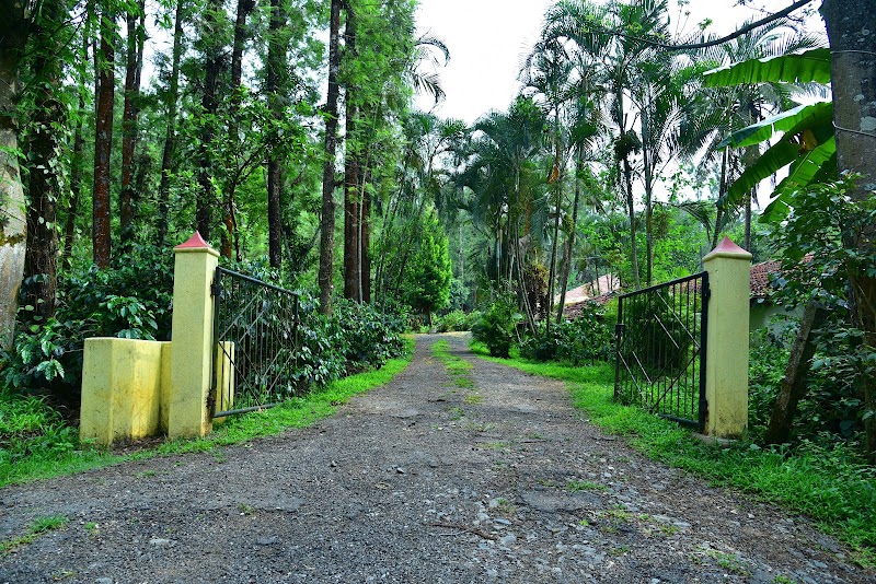 The Countryside Villa - The Countryside Villa, Near Hirekolale Lake, Kabbinahalli, HirekoLale, Karnataka 577101, India