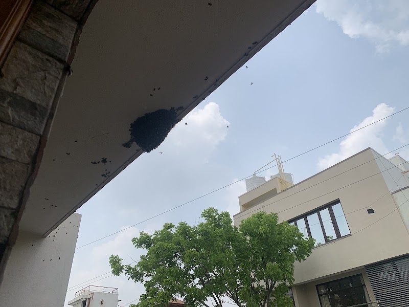 NAVIGATOR Pest Control Service Bangalore - NAVIGATOR Pest Control Service Bangalore, 2nd Floor, 1st cross, No. 17/11, Outer Ring Rd, opp. to Dr. Rajkumar Samadhi, opp. to Dr. Ambrish, Punya Bhoomi, Nandini Layout, Bengaluru, Karnataka 560096, India
