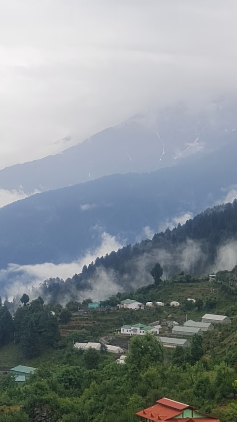 Chauhan resort auli - Chauhan resort auli Auli Chauhan resort near itbp road, Joshimath, Auli Laga Salude, Uttarakhand 246443, India