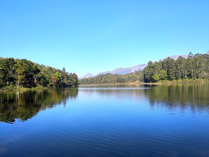 Kalypso Camp - Kalypso Camp, Shanmughavilasam Estate Rd, Suryanelli, Kerala 685618, India