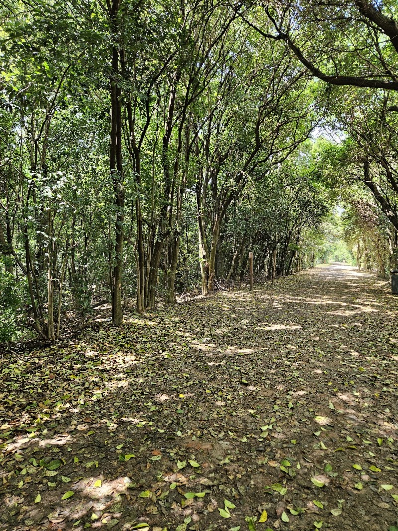 Reserva Ecológica Costanera Sur