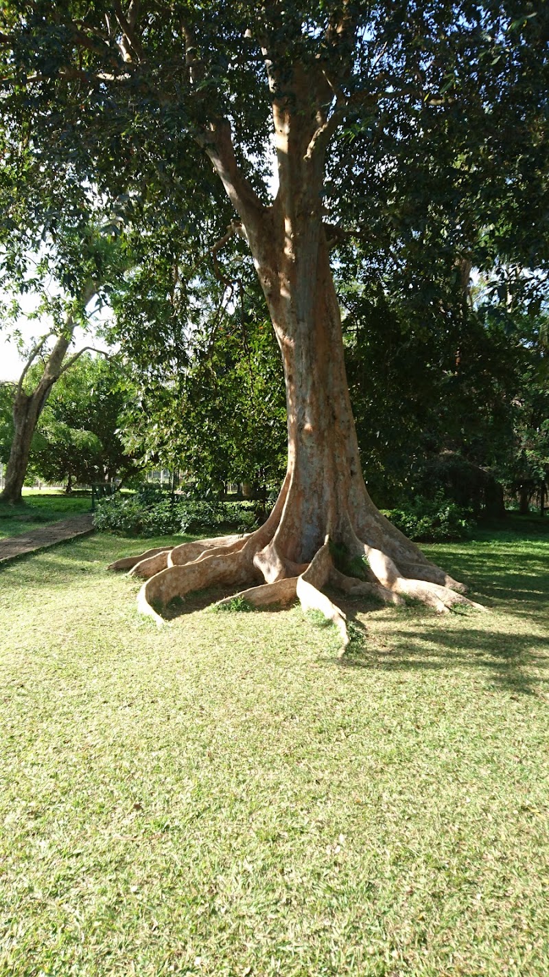 Pamplemousses - Pamplemousses, Mauritius