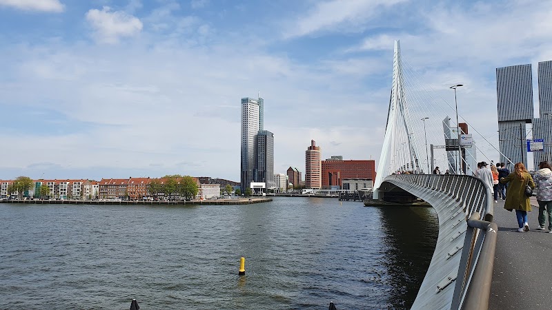 Erasmusbrug - Erasmusbrug Erasmusbrug, 3011 BN Rotterdam, Netherlands
